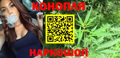 гидра Гай